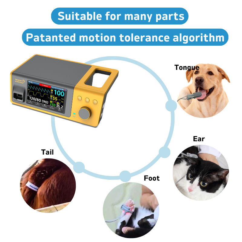 6 BTO-300AVET Sistema di monitoraggio veterinario