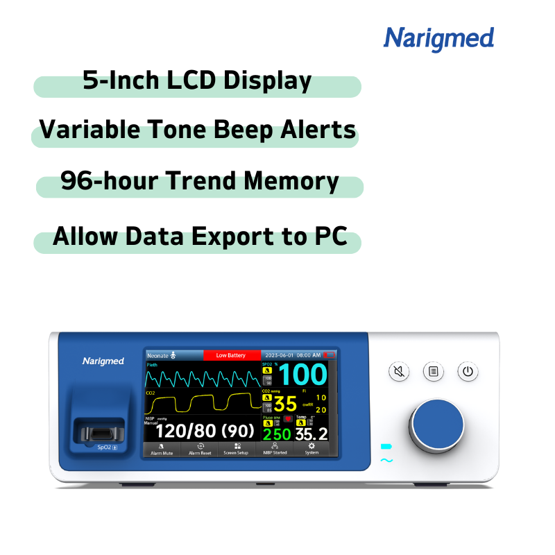 13 BTO-300A bedside monitoring system