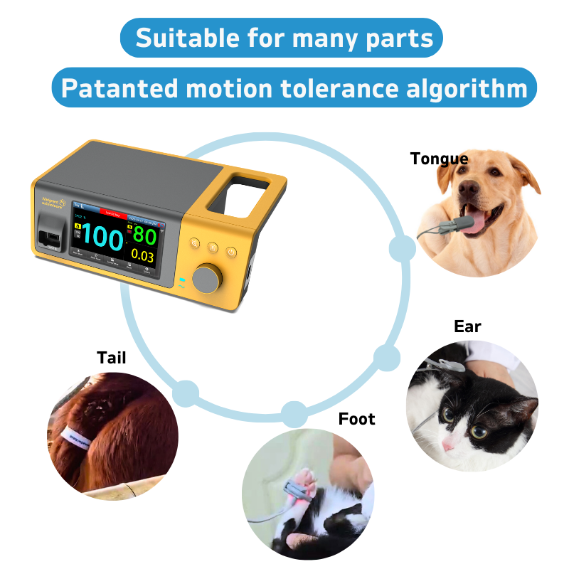 6 BTO 100AVET Veterinary monitoring system