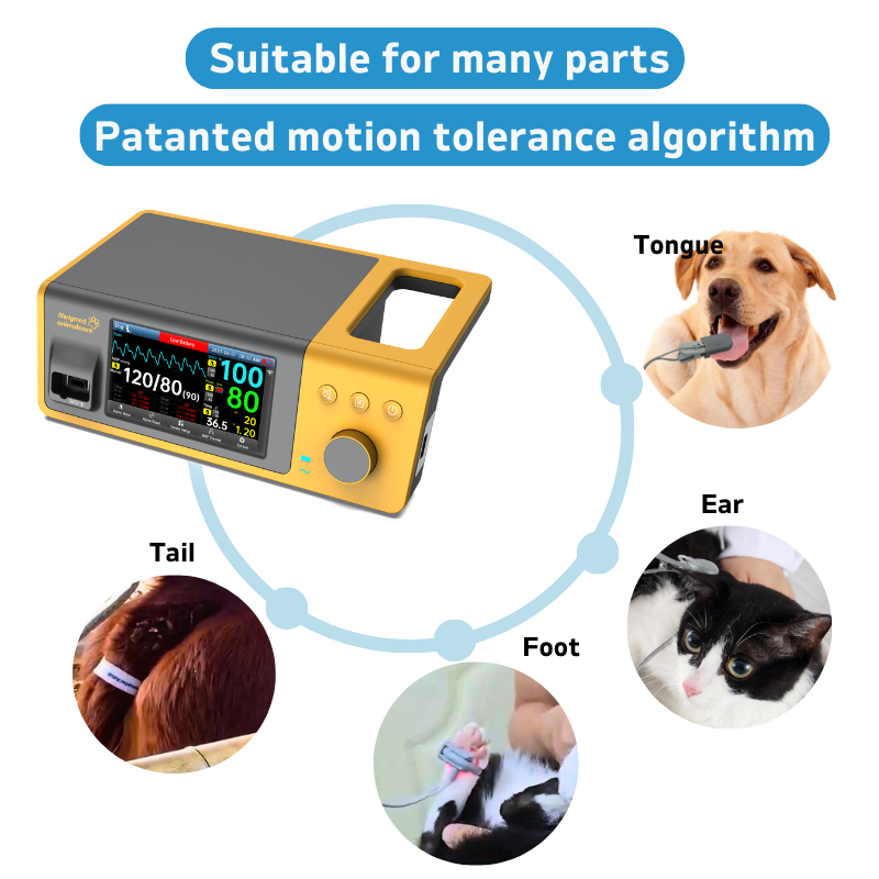 6 BTO 200AVET Veterinary monitoring system